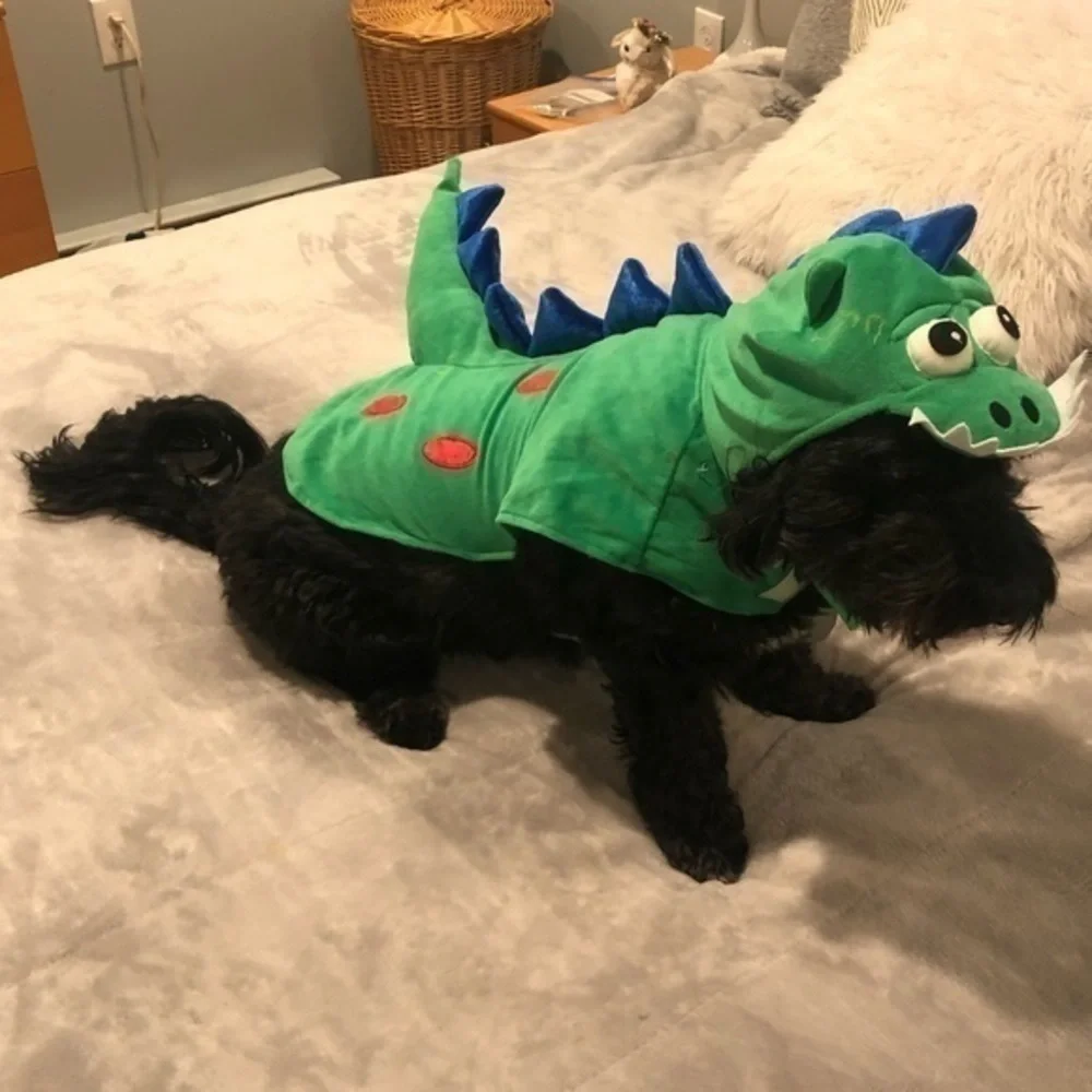Dog dinosaur costume